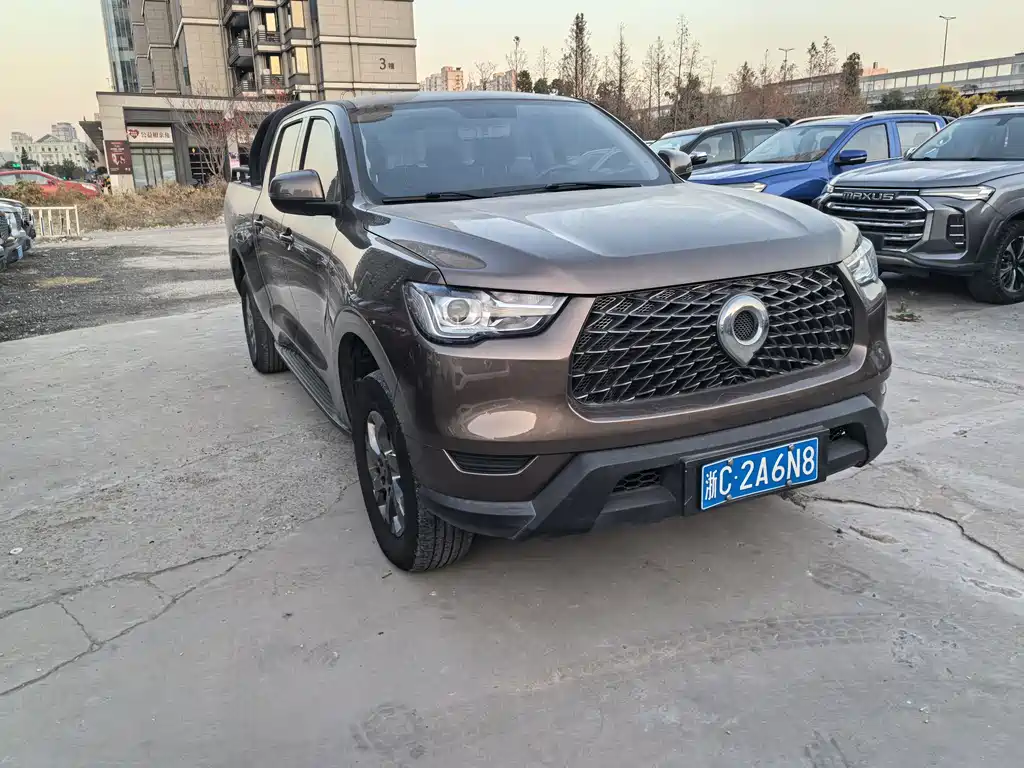 Cannon 2021 2.0T commercial version automatic diesel two-wheel drive elite long box GW4D20M купить на сайте DeffCars