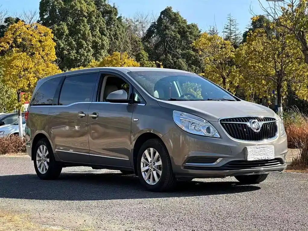 Buick GL8 2017 25S luxury model National V купить на сайте DeffCars