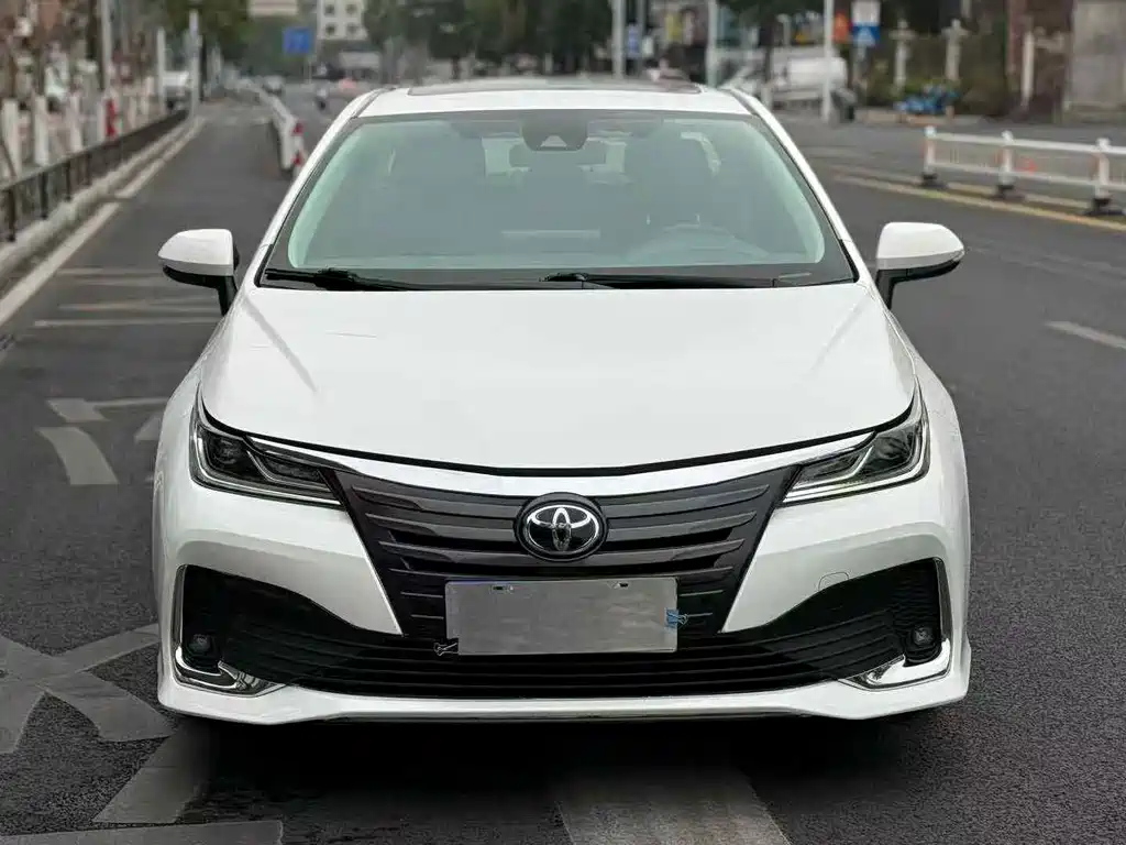 Asia Lion 2021 2.0L Advanced Edition купить на сайте DeffCars