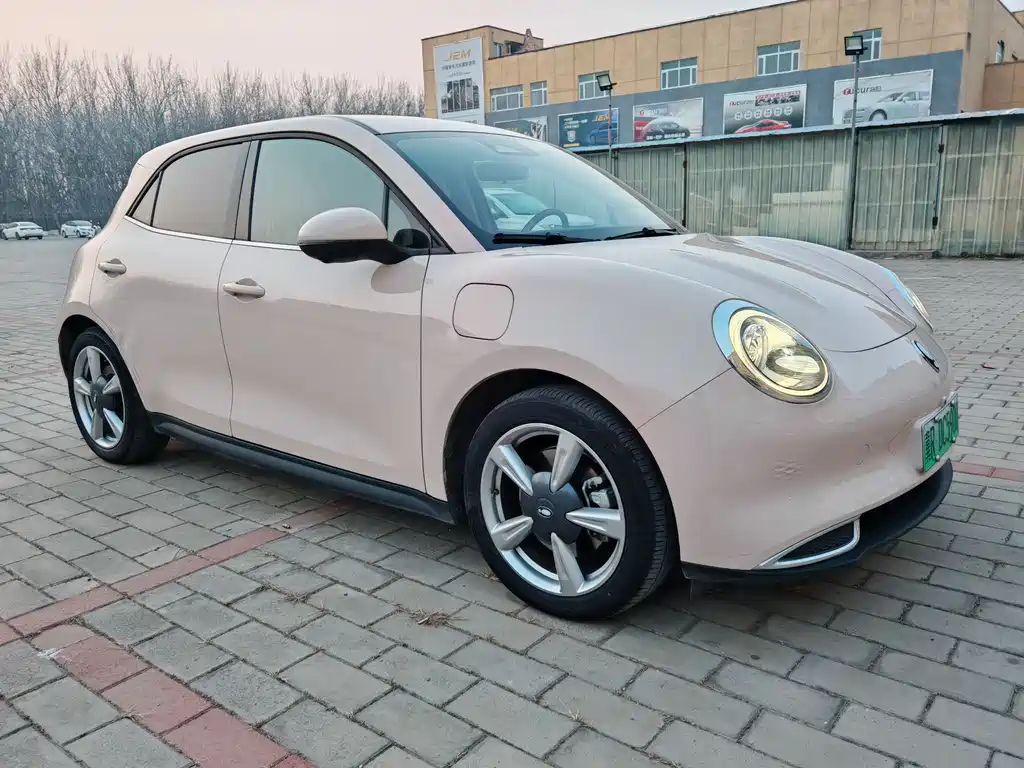 Euler Good Cat 2022 model 400km standard battery life premium type ternary lithium купить на сайте DeffCars