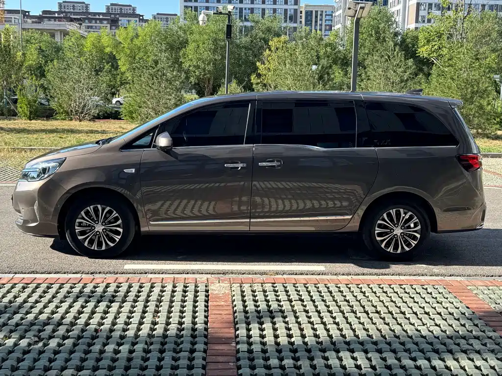 Buick GL8 2020 Land Business Class 652T Premium купить на сайте DeffCars