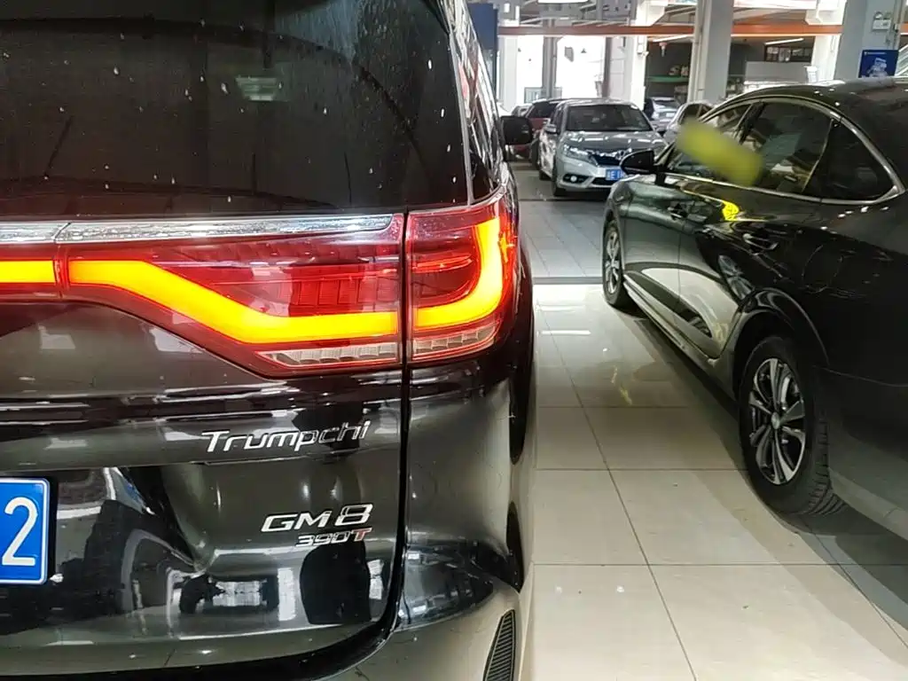 Trumpchi M8 2020 Pilot Model 390T Exclusive Edition купить на сайте DeffCars