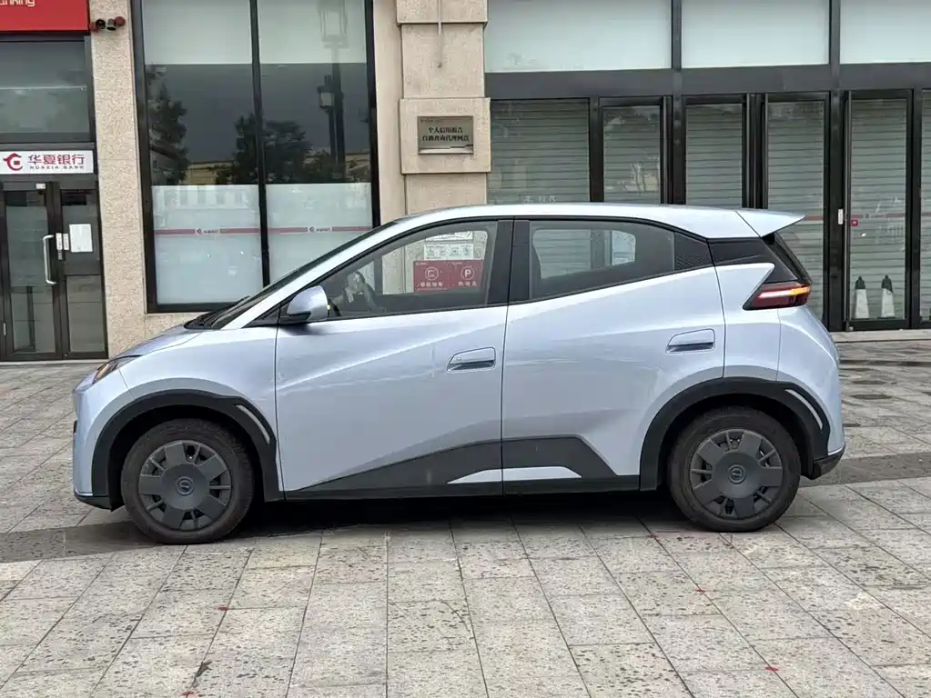 Seagull 2024款 荣耀版 305km 活力版 купить на сайте DeffCars