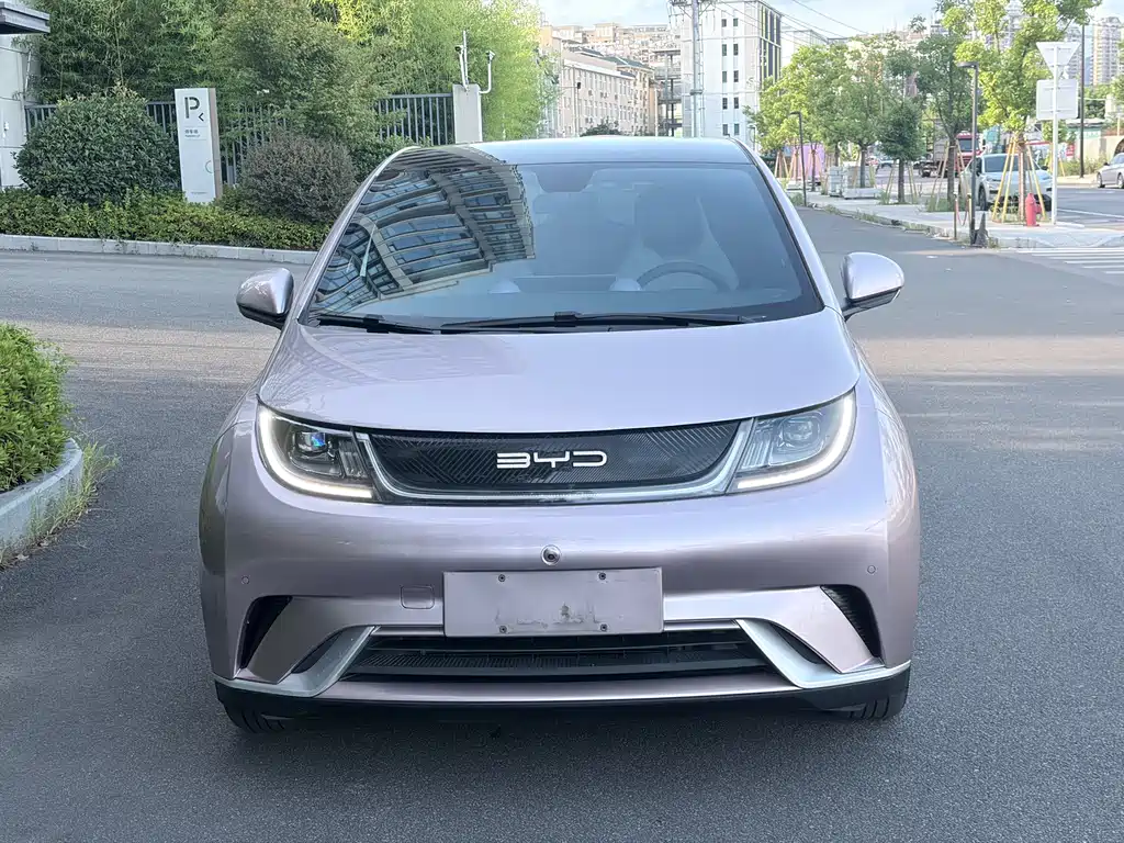 Dolphin 2024 Honor Edition 420km Fashion купить на сайте DeffCars