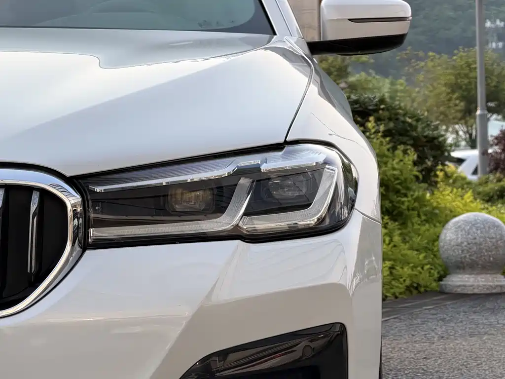 BMW 5 Series 2021 530Li Leading M Sports Package купить на сайте DeffCars