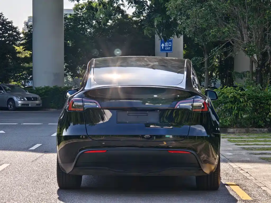 Model Y 2022 rear-wheel drive version купить на сайте DeffCars