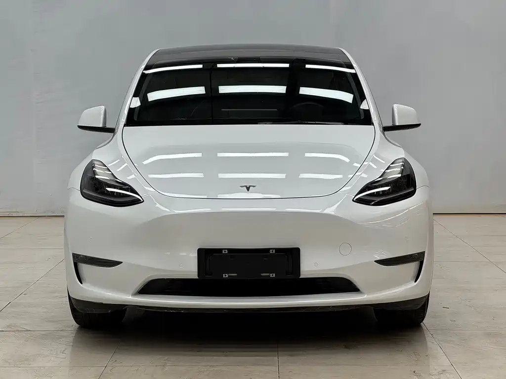 Model Y 2021 standard range rear-wheel drive version купить на сайте DeffCars