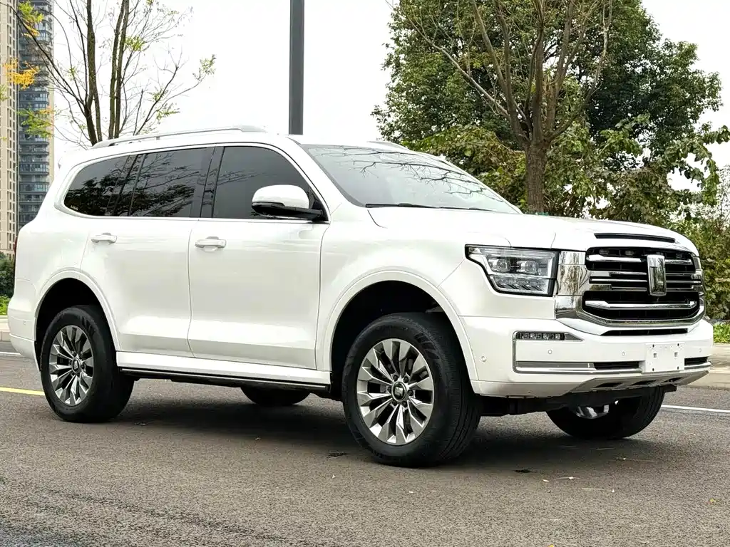 Tank 500 2022 model 3.0T sports version, environment type, 5 seats купить на сайте DeffCars