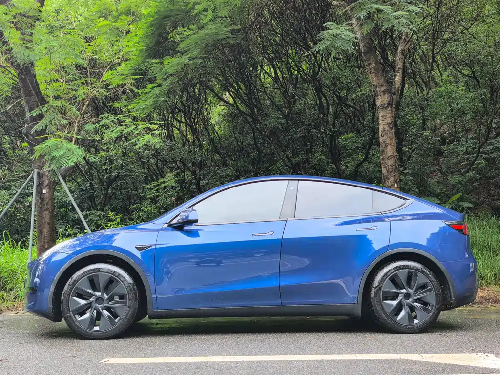 Model Y 2023 rear-wheel drive version купить на сайте DeffCars