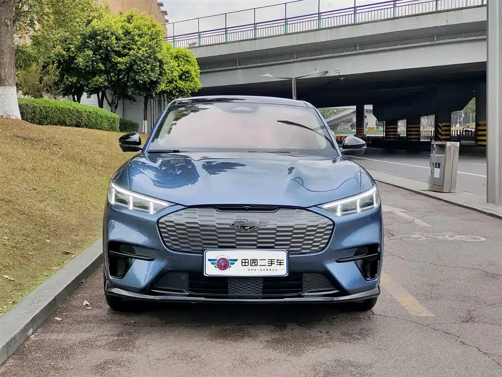 Ford E-horse 2021 Borderless rear-wheel drive luxury version with long battery life купить на сайте DeffCars