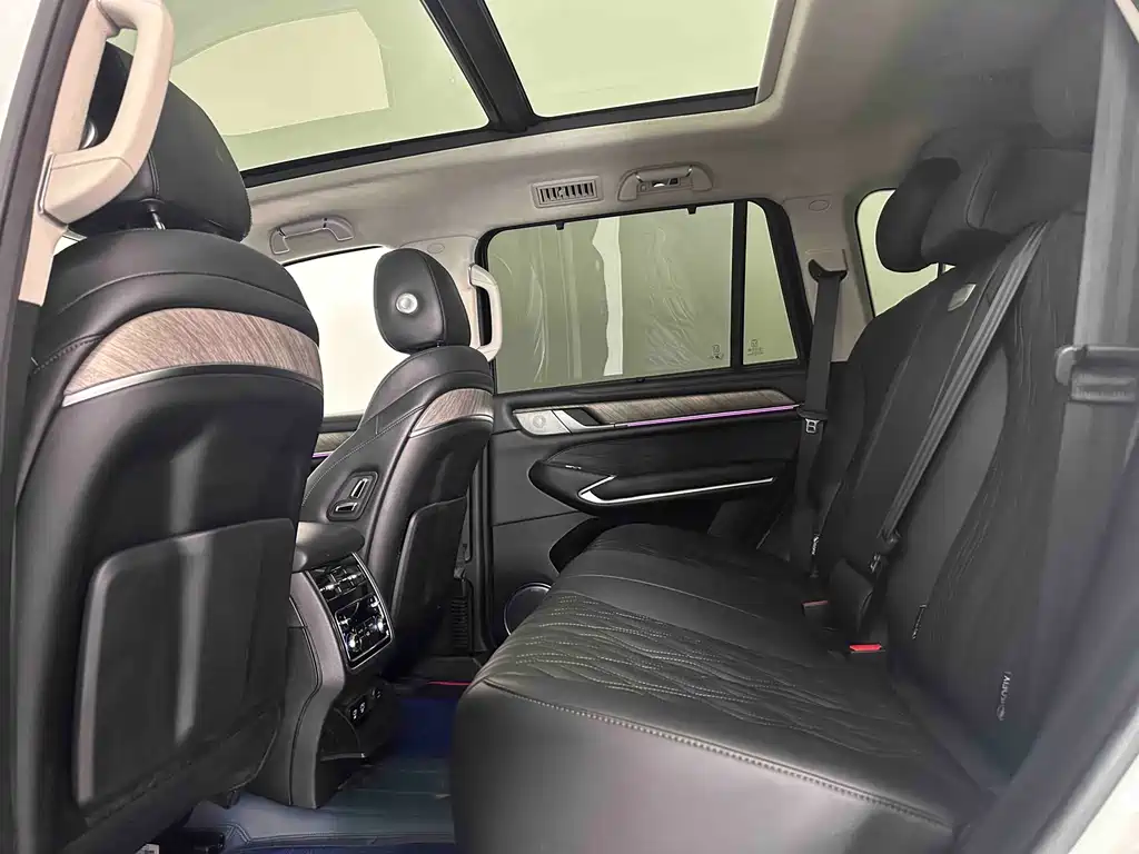 Tank 500 2022 model 3.0T sports version, environment type, 5 seats купить на сайте DeffCars