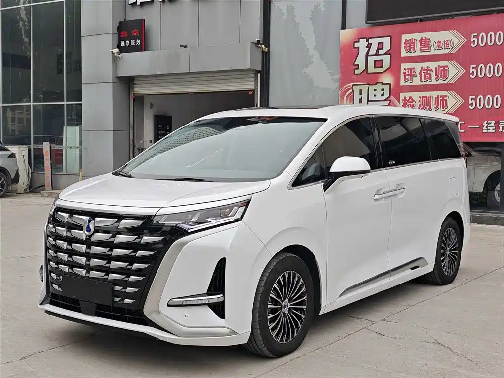 Denza D9 2022 DM-i 1040 Premium Type купить на сайте DeffCars