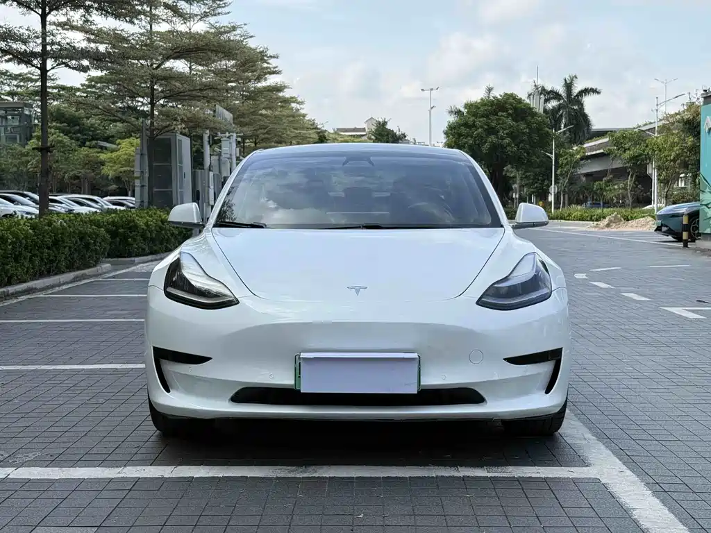 Model 3 2019 standard range rear drive upgraded version купить на сайте DeffCars