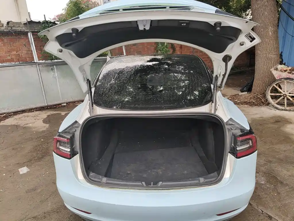 Model 3 2020 Standard Range Rear Drive Upgraded Version купить на сайте DeffCars