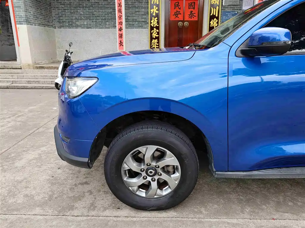 Cannon 2021 2.0T commercial version automatic diesel two-wheel drive elite long box GW4D20M купить на сайте DeffCars