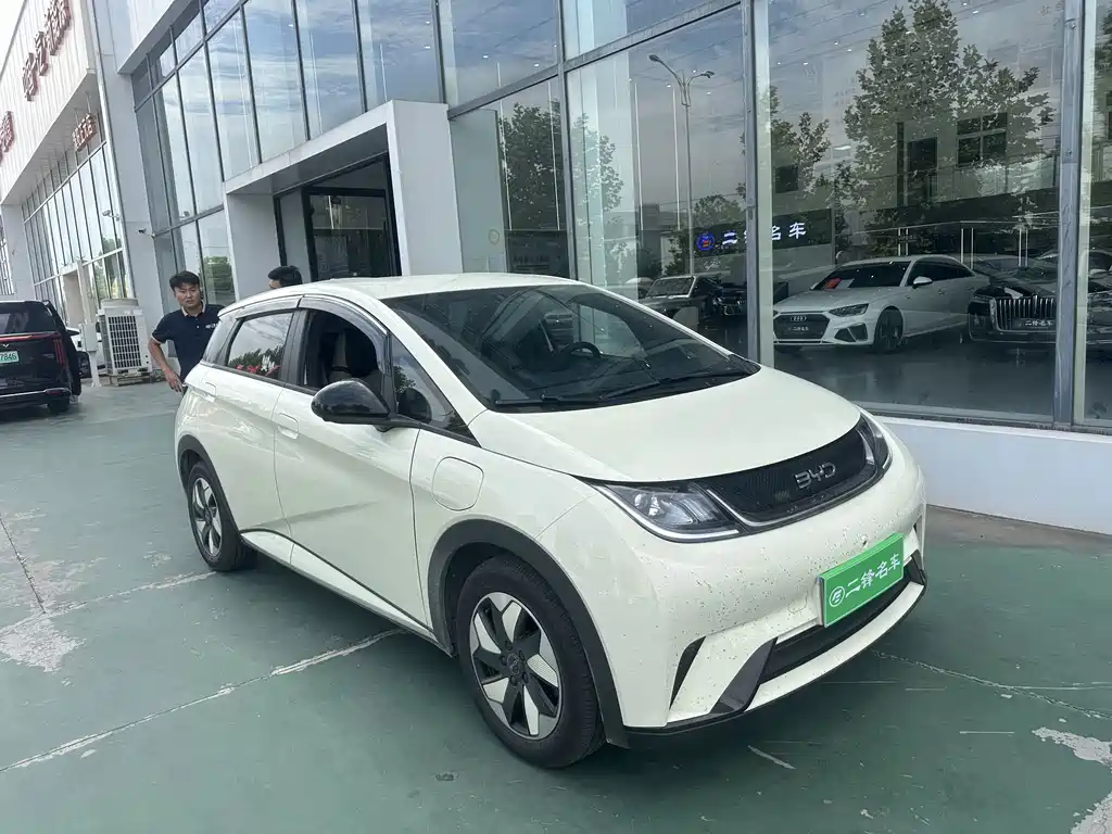 Dolphin 2025 420km Free Edition купить на сайте DeffCars