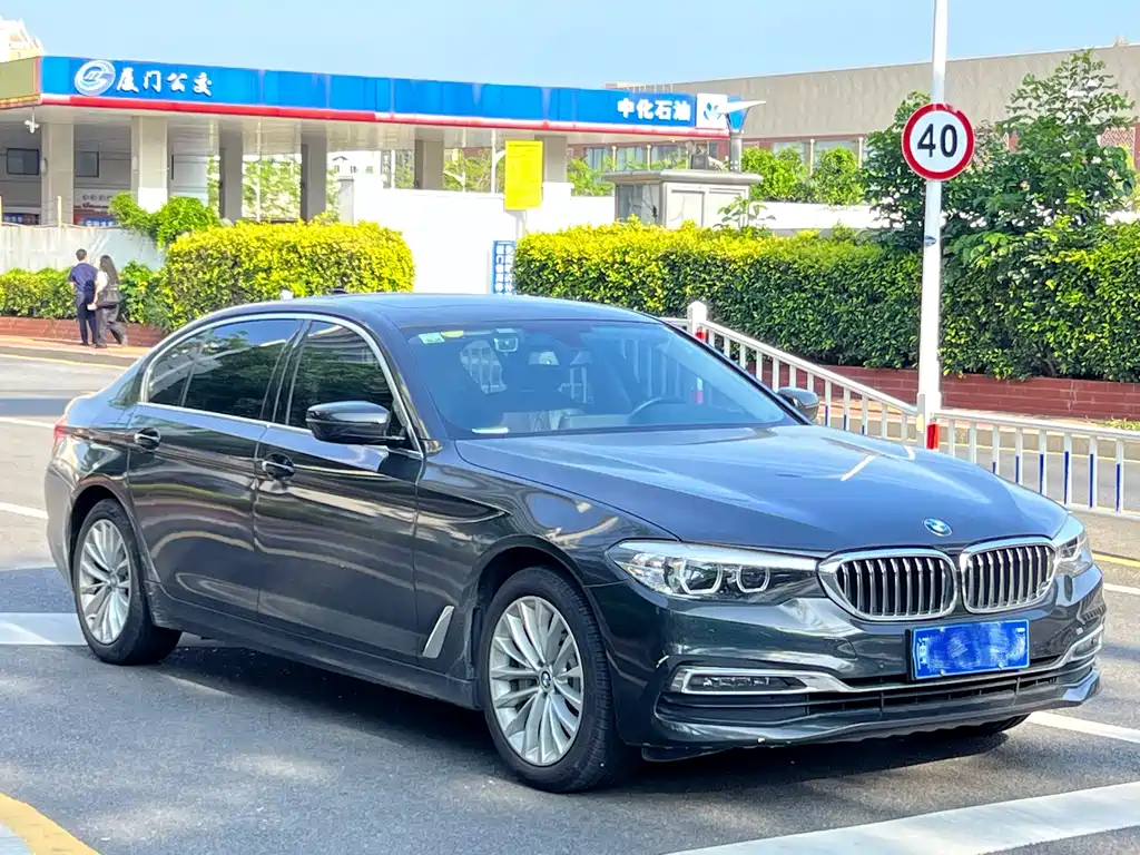 BMW 5 Series 2019 530Li Leading Luxury Package купить на сайте DeffCars