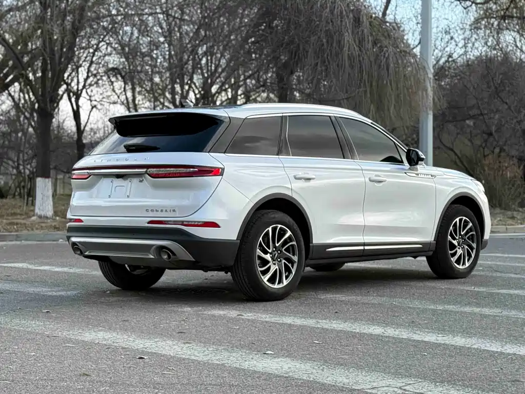 Adventurer 2021 2.0T Two-wheel drive Premium Edition купить на сайте DeffCars