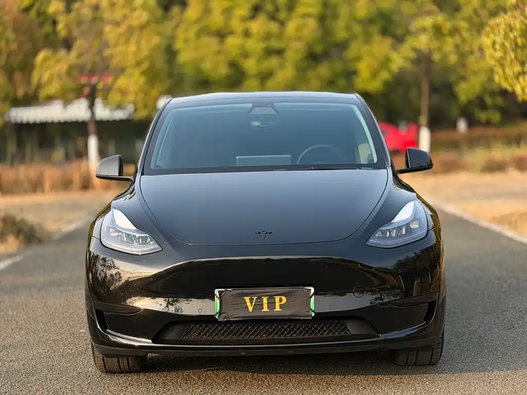 Model Y 2023 rear-wheel drive version купить на сайте DeffCars