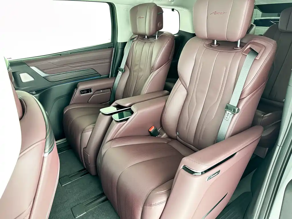 Century 2023 2.0T Six-seater Yuanshi Edition купить на сайте DeffCars