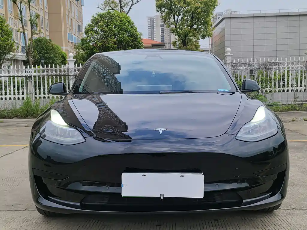 Model 3 2022 rear-wheel drive version купить на сайте DeffCars