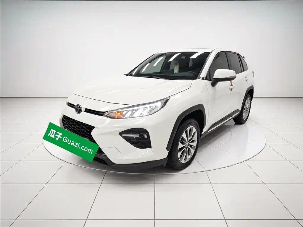Wilanda 2020 2.0L CVT four-wheel drive luxury version купить на сайте DeffCars