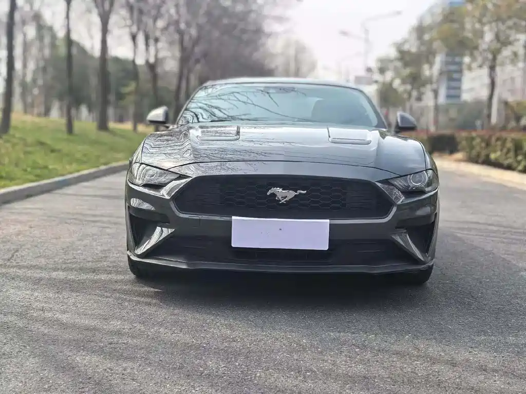 Mustang 2019 2.3L EcoBoost купить на сайте DeffCars