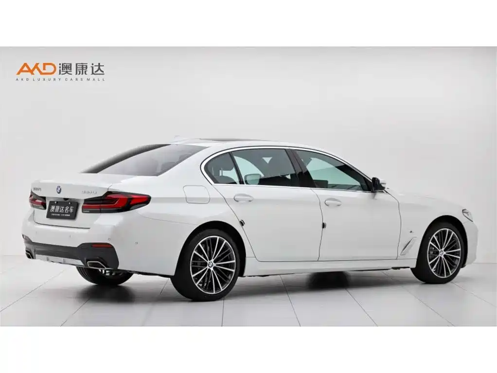 BMW 530Li/2.0T/22 models/modification leading M sports package купить на сайте DeffCars