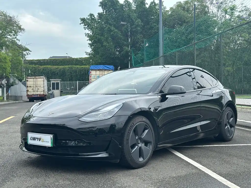 Model 3 2022 rear-wheel drive version купить на сайте DeffCars