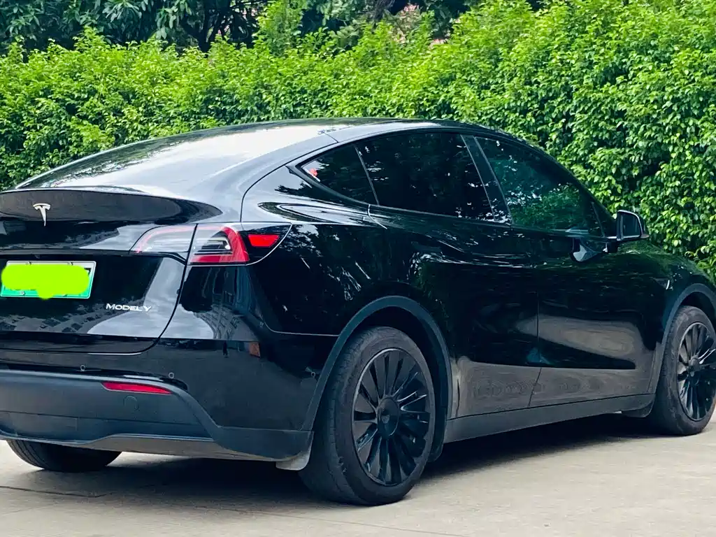 Model Y 2022 rear-wheel drive version купить на сайте DeffCars