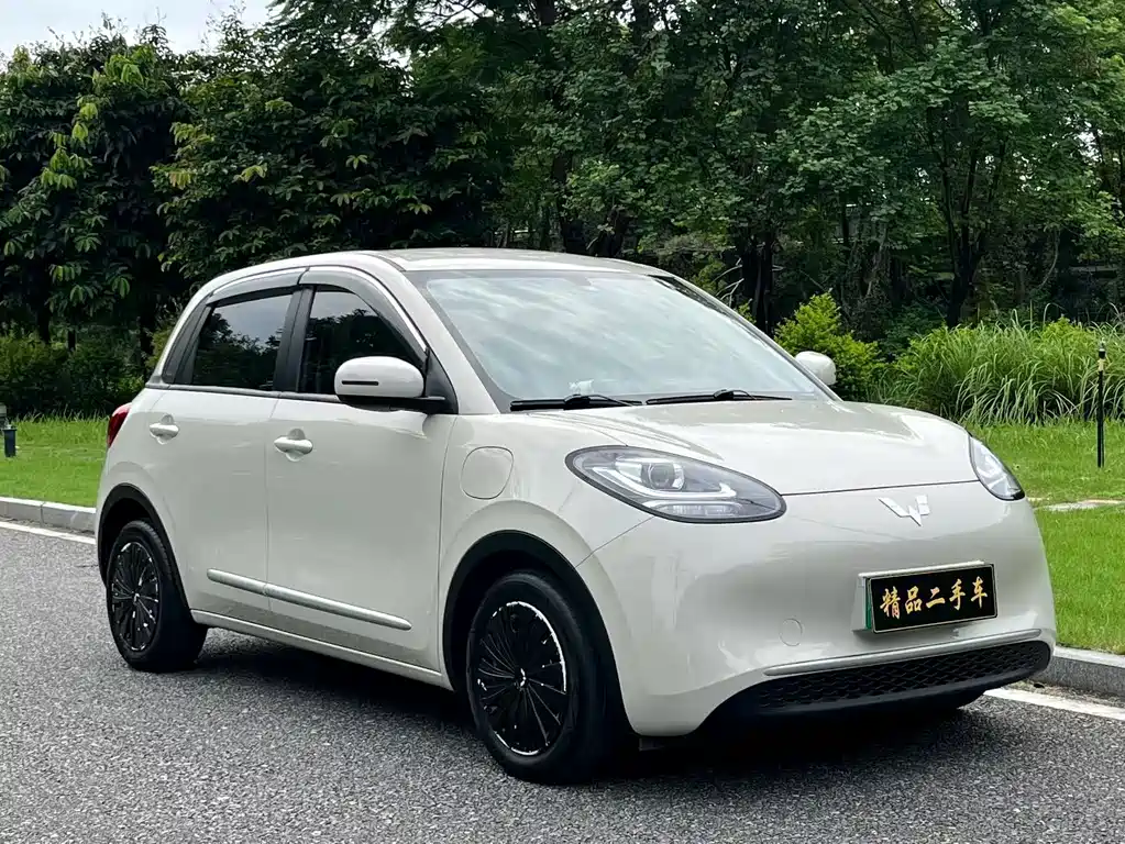 Bingo 2023 333km Express купить на сайте DeffCars