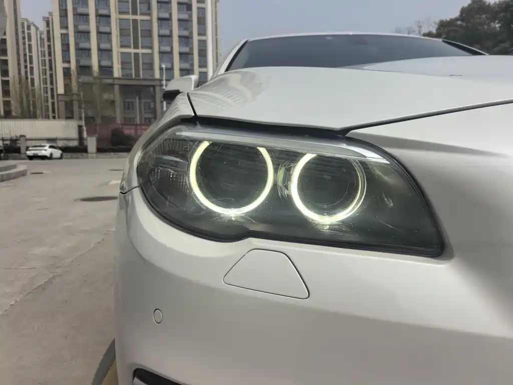 BMW 5 Series 2017 520Li Elegant купить на сайте DeffCars