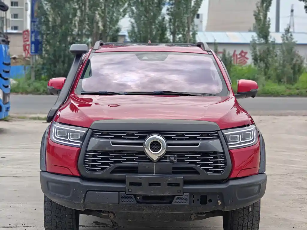 Cannon (Poer) 2020 2.0T Off-Road Automatic Gasoline 4WD Premium GW4C20B купить на сайте DeffCars
