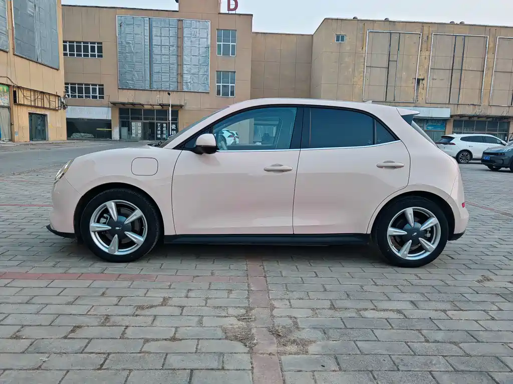 Euler Good Cat 2022 model 400km standard battery life premium type ternary lithium купить на сайте DeffCars