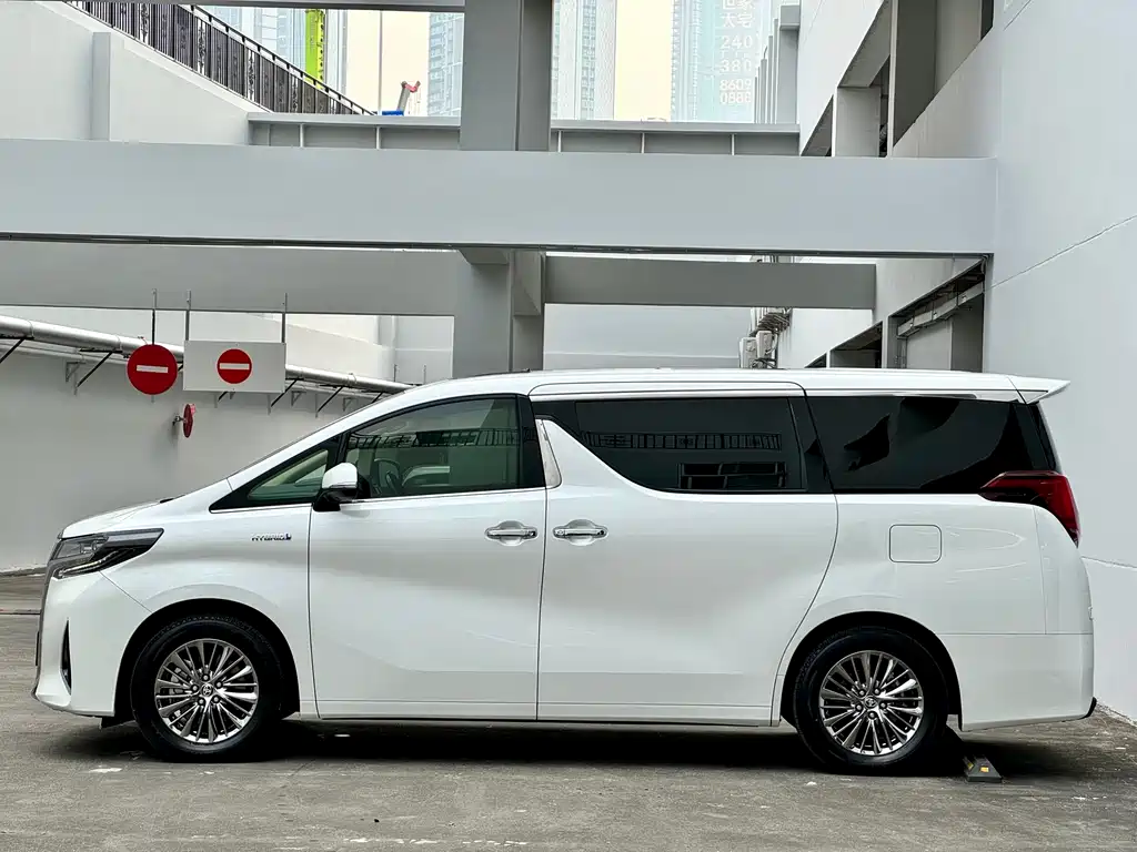 Alfa 2019 Shuangqing 2.5L Premium Edition купить на сайте DeffCars