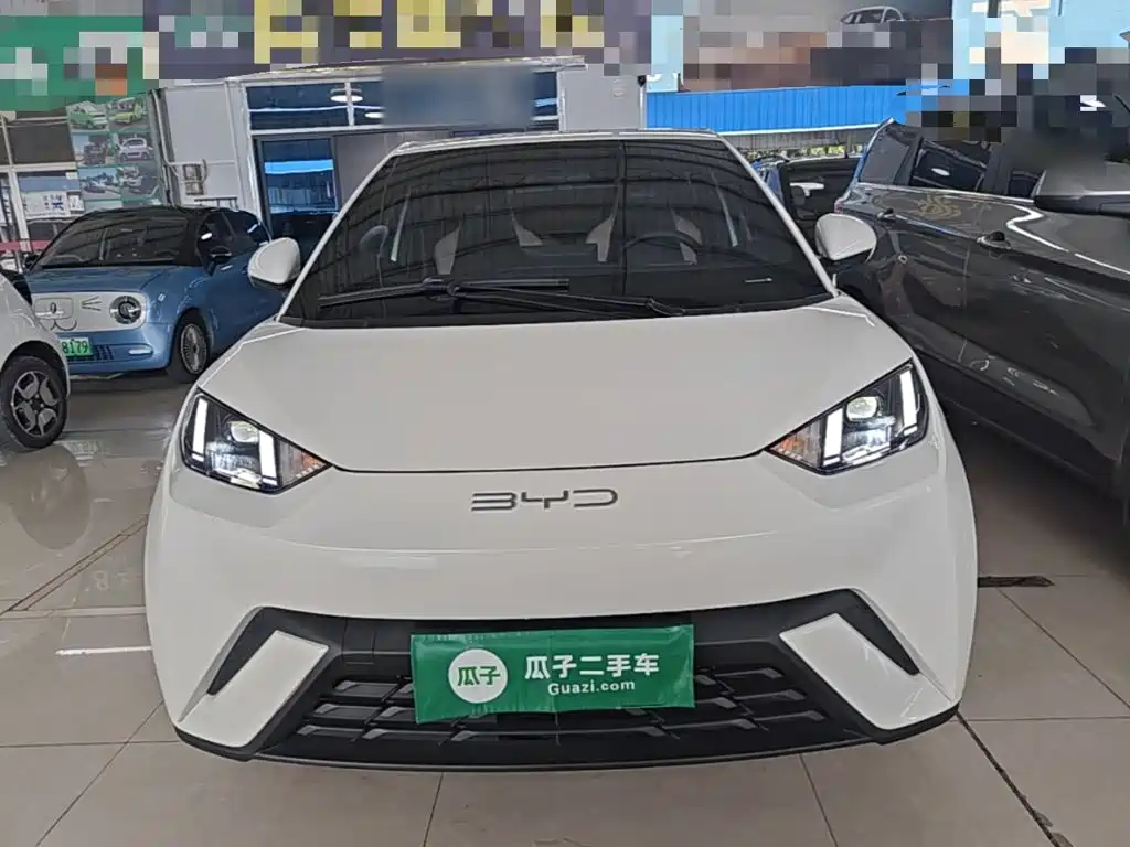 Seagull 2023 Free Edition купить на сайте DeffCars