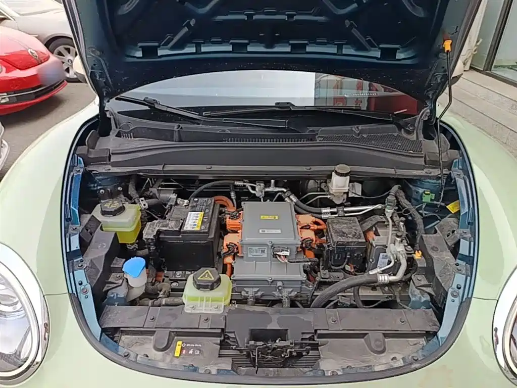 Euler Good Cat 2021 model 400km standard battery life Athena version ternary lithium купить на сайте DeffCars