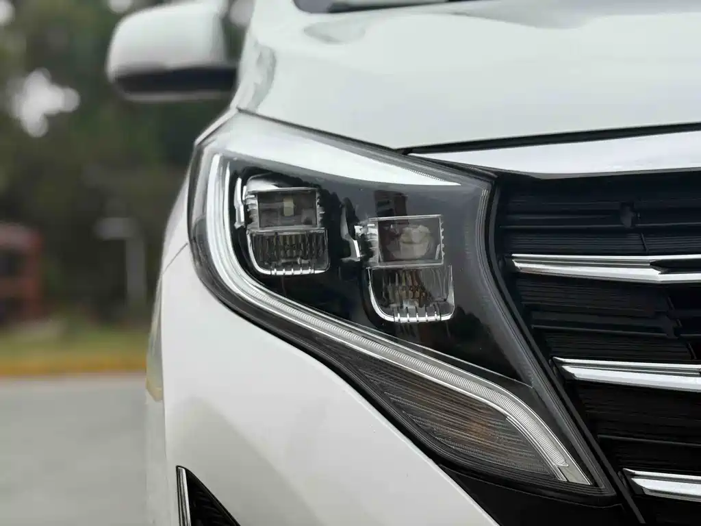 Trumpchi M8 2021 Lead Show Series 390T Exclusive Edition купить на сайте DeffCars
