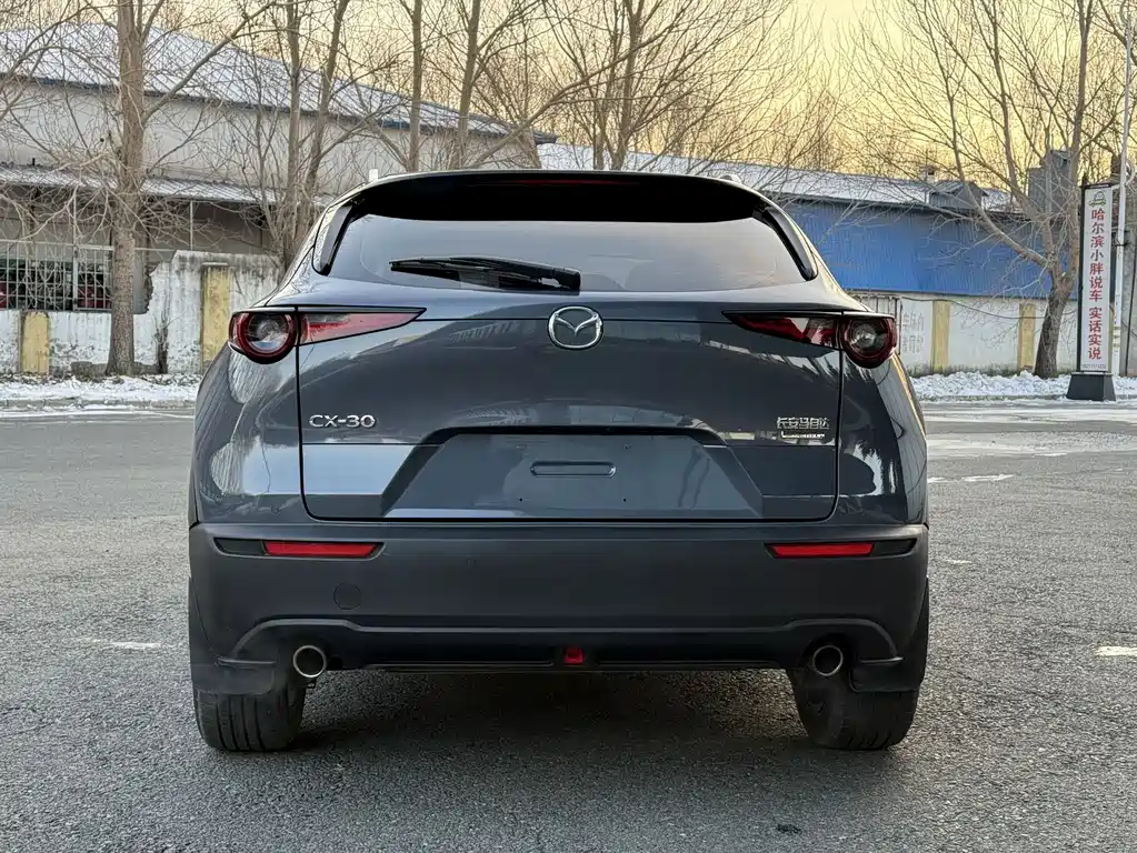 Mazda CX-30 2021 2.0L automatic Jiayue type купить на сайте DeffCars