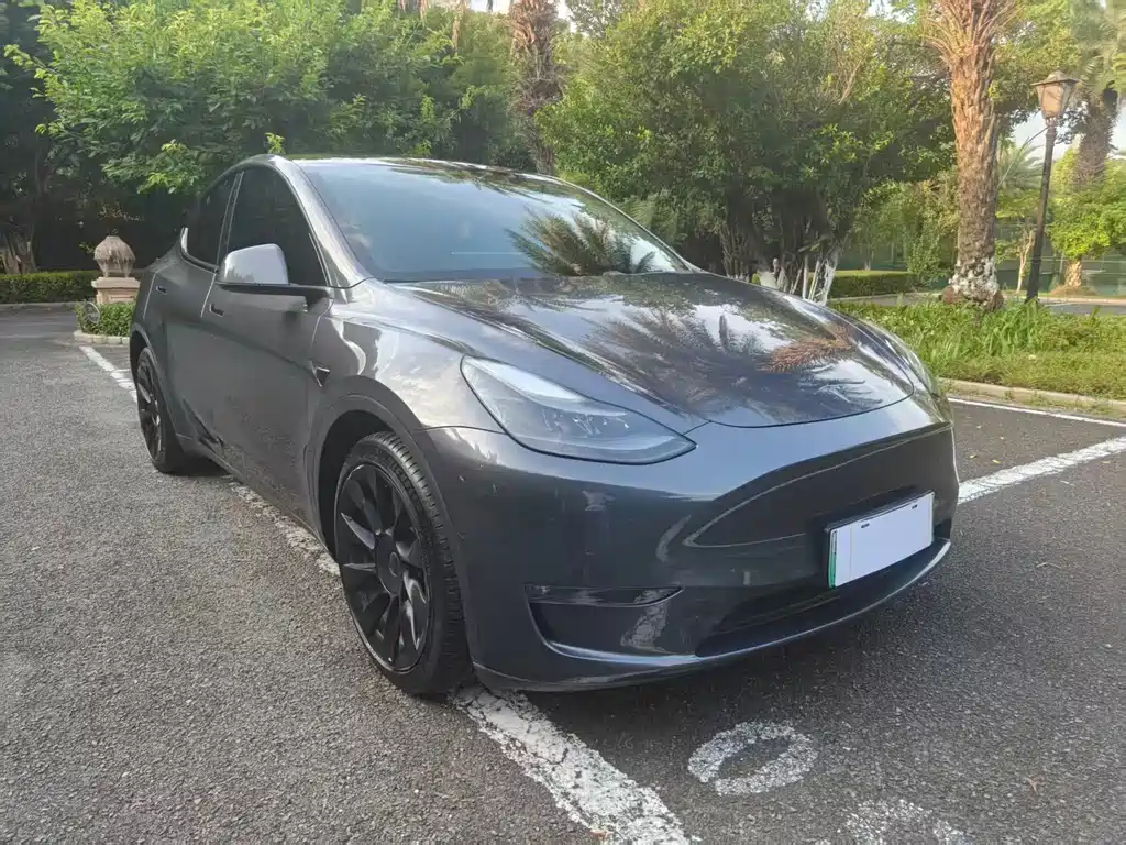 Model Y 2021 Long Range All-Wheel Drive Edition купить на сайте DeffCars