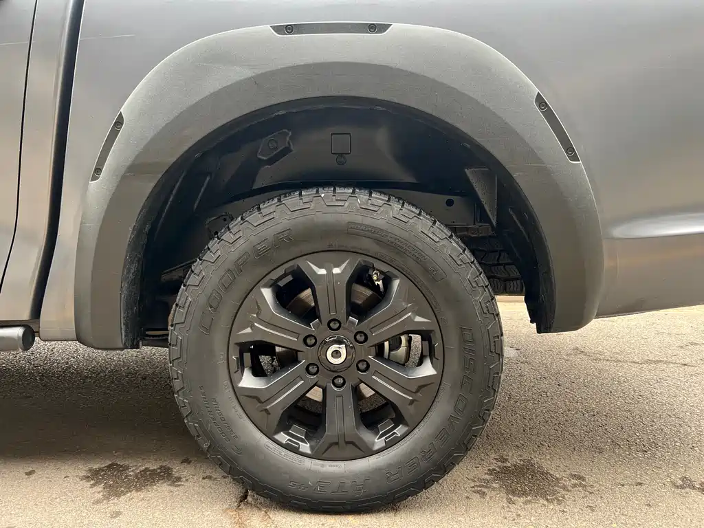 Cannon 2021 2.0T off-road version automatic gasoline four-wheel drive Everest version GW4C20B купить на сайте DeffCars