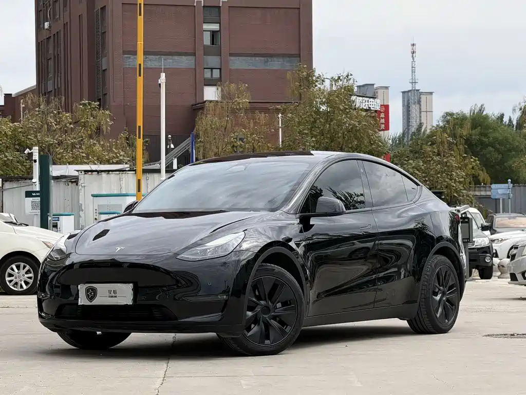 Model Y 2023 long-range all-wheel drive version купить на сайте DeffCars