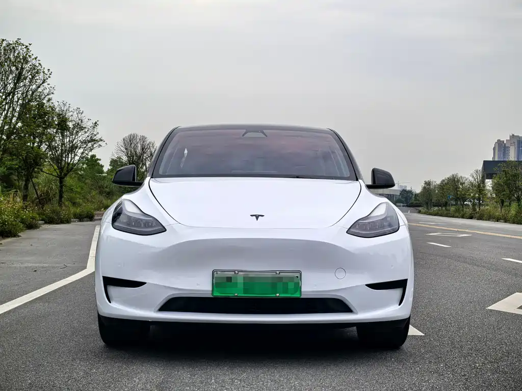 Model Y 2022 rear-wheel drive version купить на сайте DeffCars