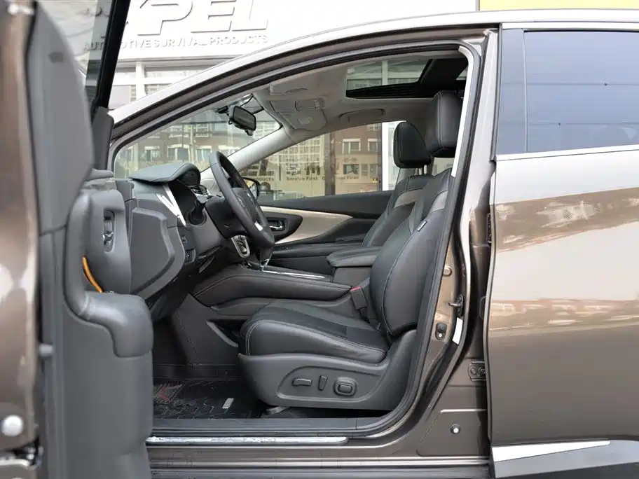 Loulan 2019 2.5L XL 2WD Intelligent Luxury Edition National V купить на сайте DeffCars