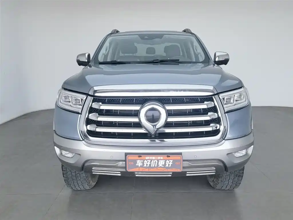 Cannon 2021 2.0T passenger global version automatic gasoline four-wheel drive exclusive standard box GW4C20B купить на сайте DeffCars