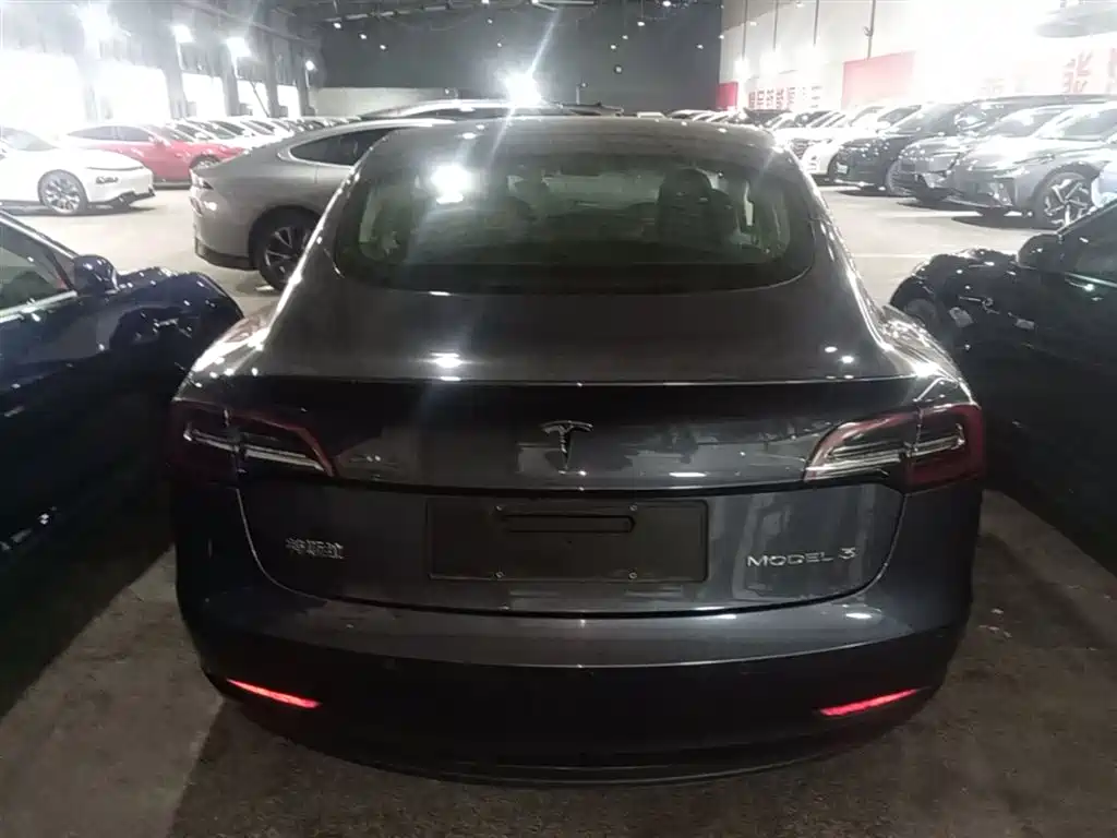 Model 3 2020 Standard Range Rear Drive Upgraded Version купить на сайте DeffCars