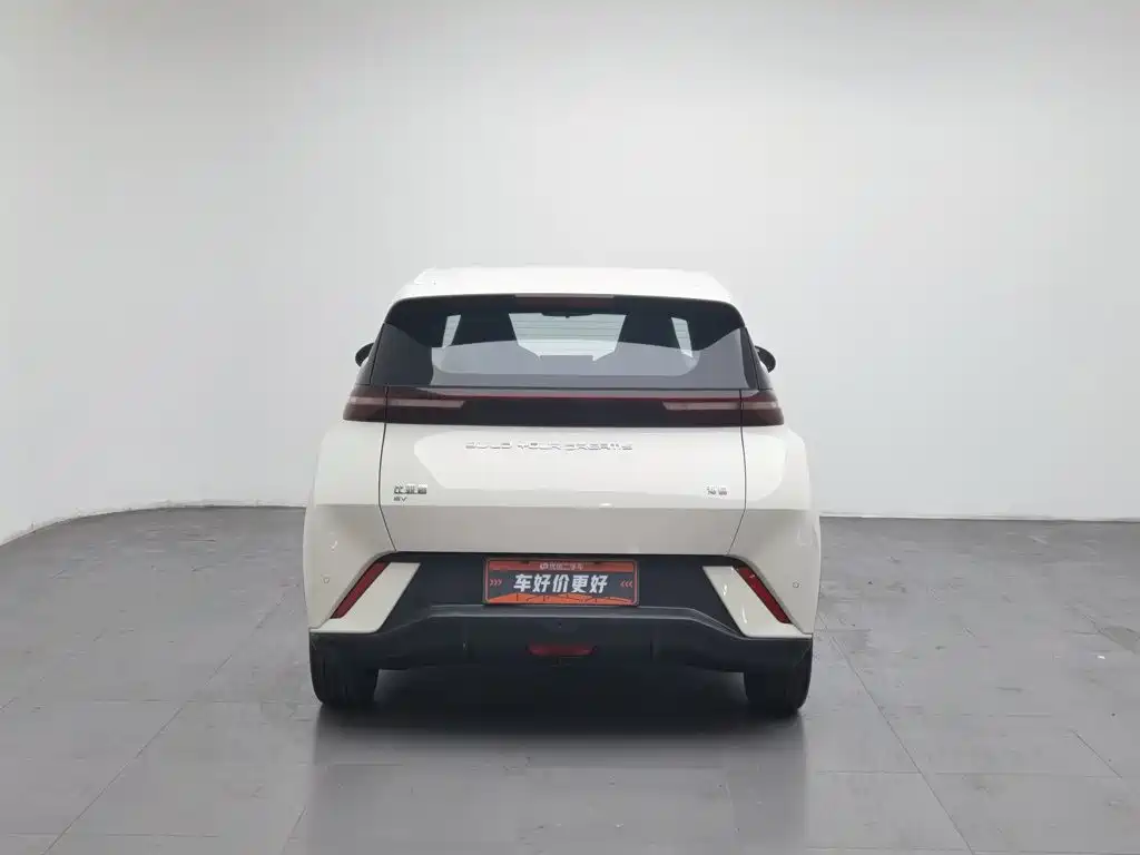 Seagull 2023 Flying Edition купить на сайте DeffCars