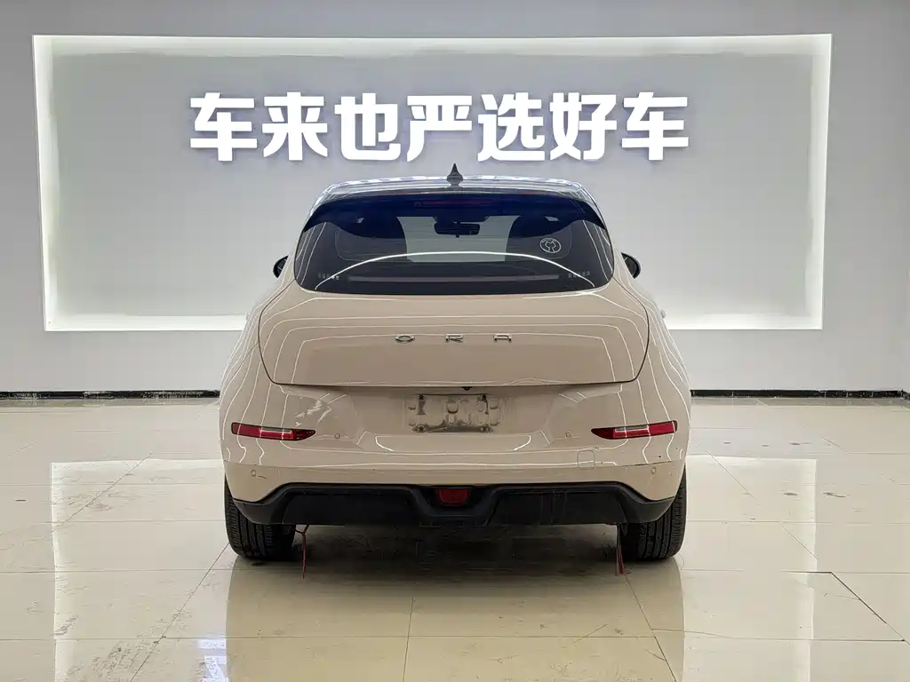 Euler Good Cat 2021 Model 400km Standard Range Athena Edition Lithium Iron Phosphate купить на сайте DeffCars