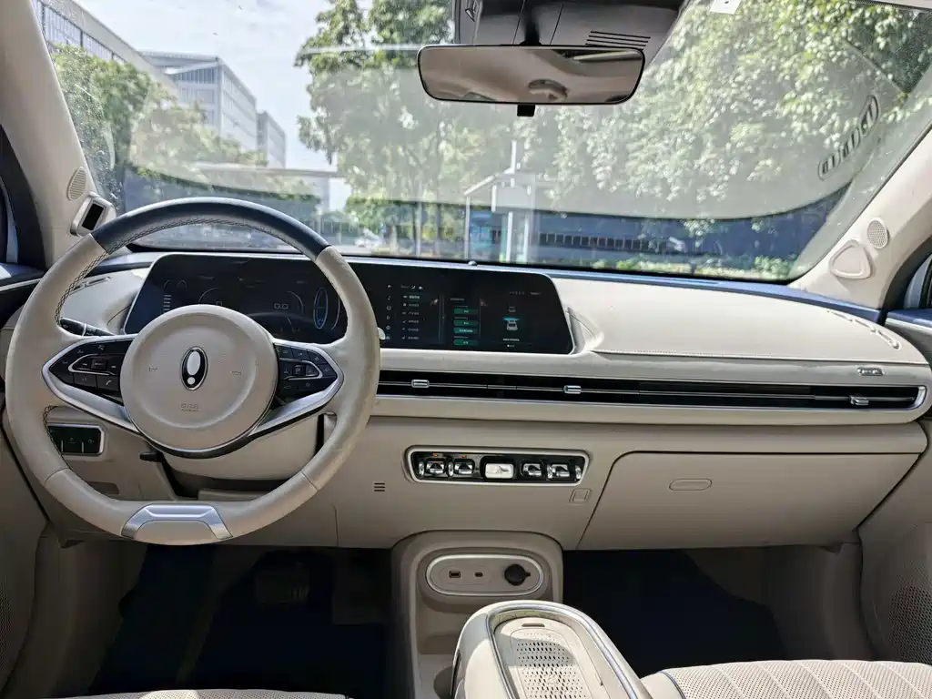 Euler Good Cat 2023 Model 401km Standard Range Honor Type Lithium Iron Phosphate купить на сайте DeffCars