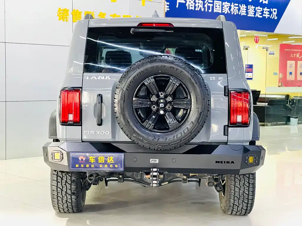 Tank 300 2021 Off-Road Version 2.0T Conqueror купить на сайте DeffCars